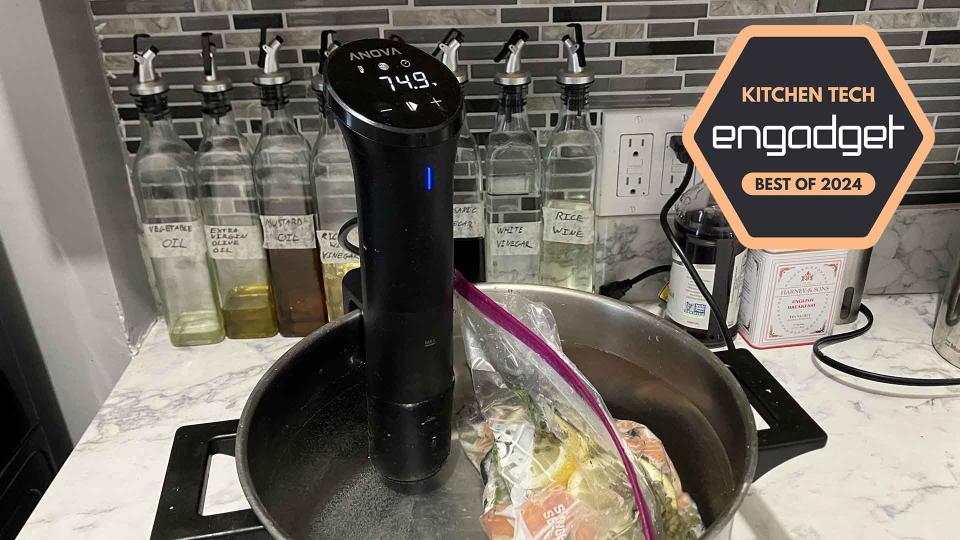 Anova Precision Cooker Nano